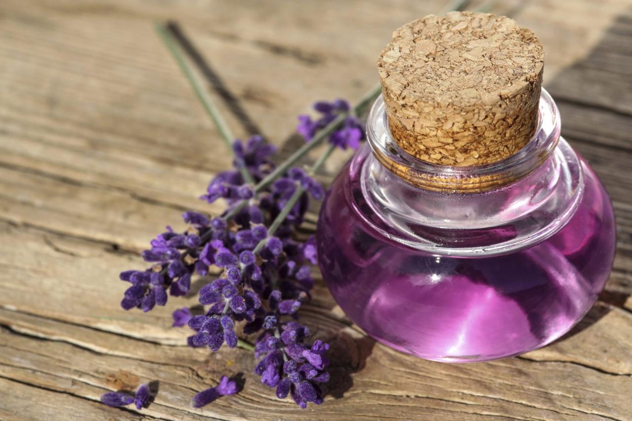 Aromatherapy soigner essentielles huiles eases pms lavanda inhaling complement 5livres