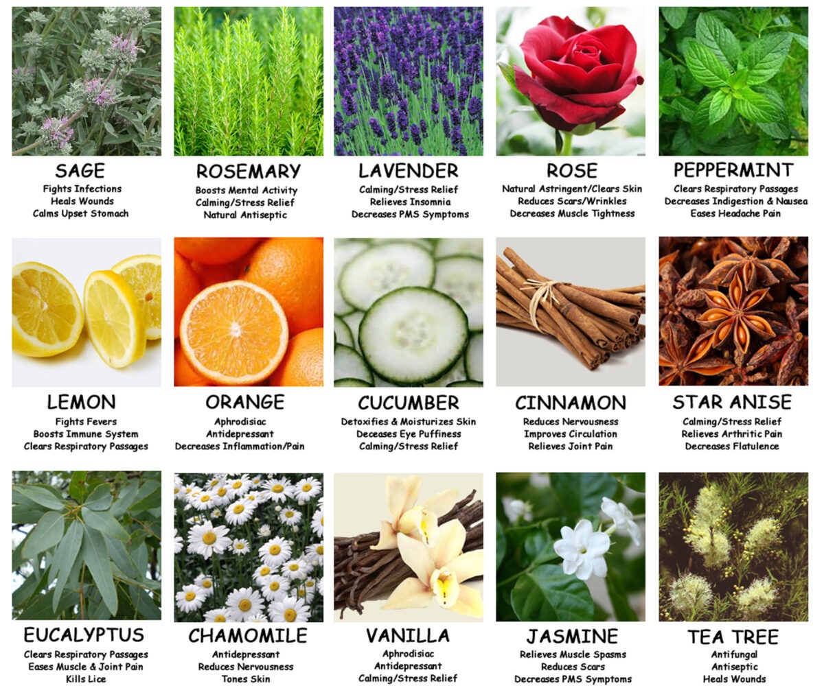 Essential oils aromatherapy chart oil uses their list properties printable healing benefits do herbs types use plants health herbal which
